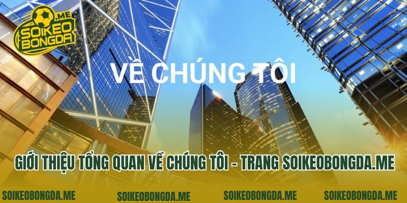 Giới thiệu tổng quan về chúng tôi - trang genhot.com.tw